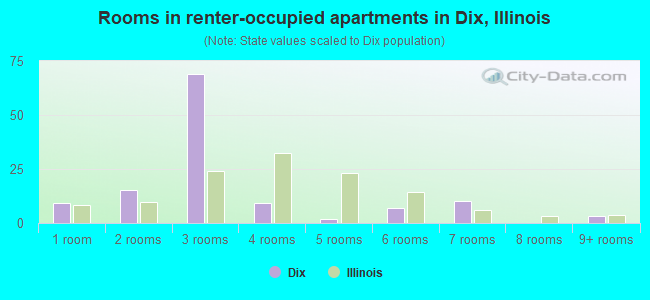 Rooms in renter-occupied apartments in Dix, Illinois