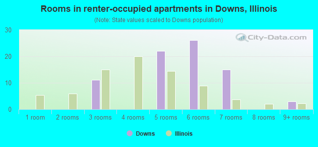 Rooms in renter-occupied apartments in Downs, Illinois