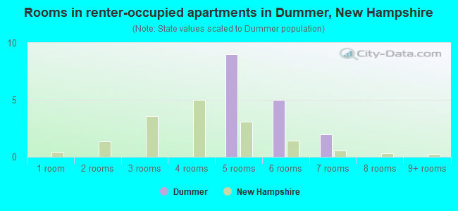 Rooms in renter-occupied apartments in Dummer, New Hampshire