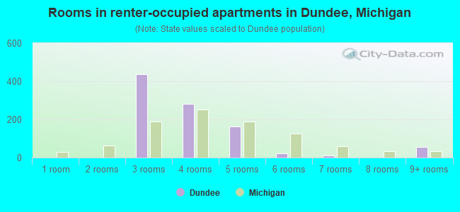 Rooms in renter-occupied apartments in Dundee, Michigan