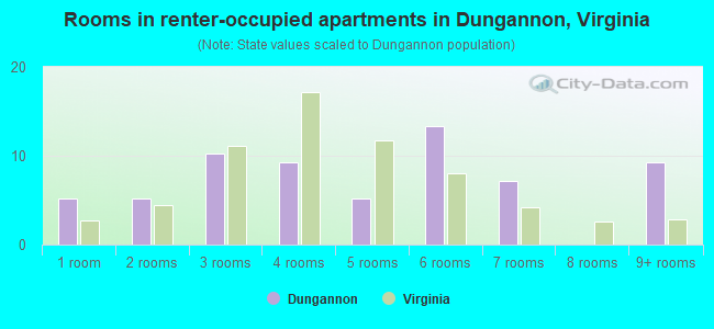 Rooms in renter-occupied apartments in Dungannon, Virginia