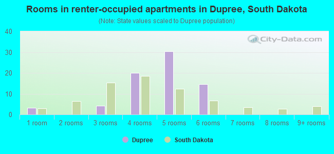 Rooms in renter-occupied apartments in Dupree, South Dakota