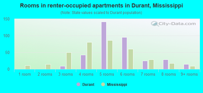 Rooms in renter-occupied apartments in Durant, Mississippi