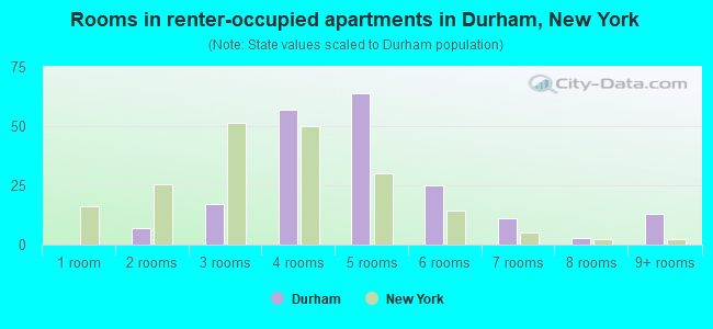 Rooms in renter-occupied apartments in Durham, New York