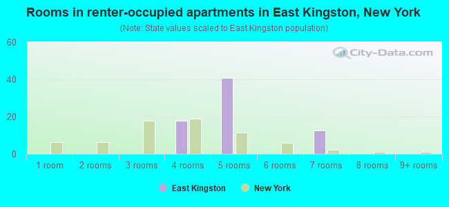 Rooms in renter-occupied apartments in East Kingston, New York