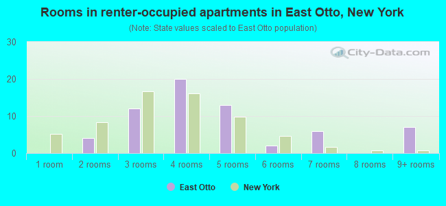 Rooms in renter-occupied apartments in East Otto, New York