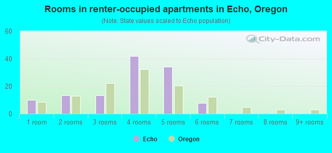 Rooms in renter-occupied apartments in Echo, Oregon