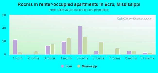 Rooms in renter-occupied apartments in Ecru, Mississippi