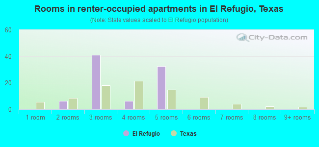 Rooms in renter-occupied apartments in El Refugio, Texas