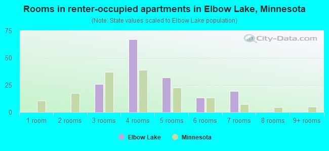 Rooms in renter-occupied apartments in Elbow Lake, Minnesota