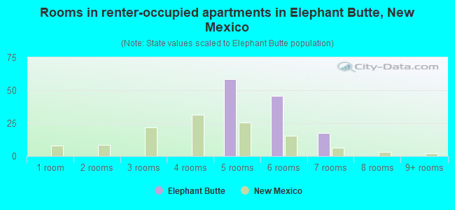 Rooms in renter-occupied apartments in Elephant Butte, New Mexico