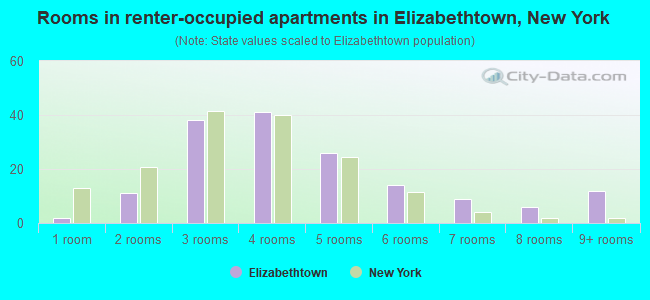 Rooms in renter-occupied apartments in Elizabethtown, New York