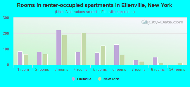 Rooms in renter-occupied apartments in Ellenville, New York