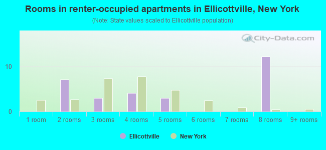 Rooms in renter-occupied apartments in Ellicottville, New York