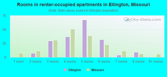 Rooms in renter-occupied apartments in Ellington, Missouri