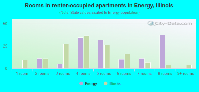 Rooms in renter-occupied apartments in Energy, Illinois