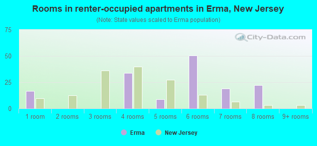 Rooms in renter-occupied apartments in Erma, New Jersey