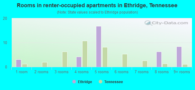 Rooms in renter-occupied apartments in Ethridge, Tennessee