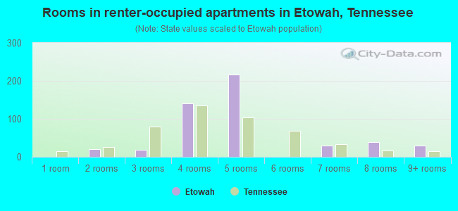 Rooms in renter-occupied apartments in Etowah, Tennessee