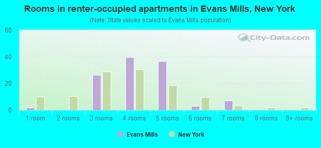 Rooms in renter-occupied apartments in Evans Mills, New York