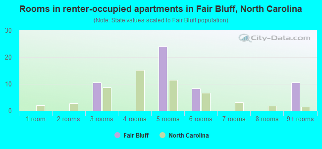 Rooms in renter-occupied apartments in Fair Bluff, North Carolina