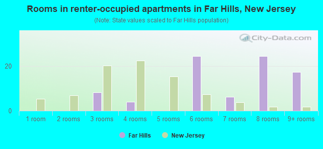 Rooms in renter-occupied apartments in Far Hills, New Jersey
