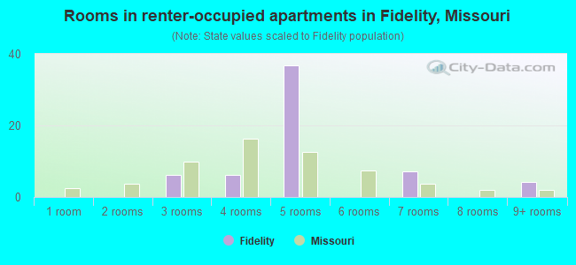 Rooms in renter-occupied apartments in Fidelity, Missouri