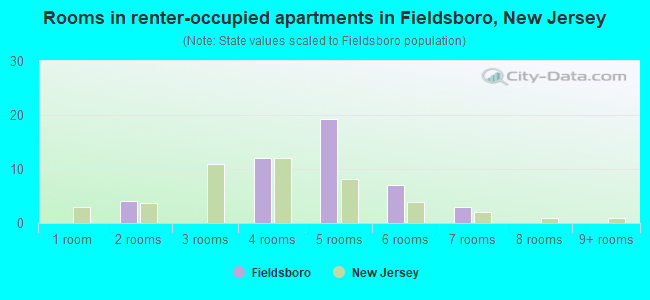 Rooms in renter-occupied apartments in Fieldsboro, New Jersey