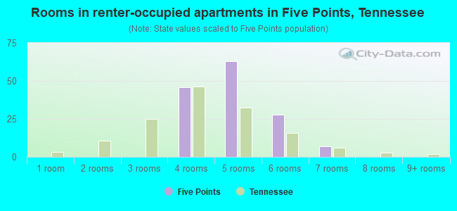 Rooms in renter-occupied apartments in Five Points, Tennessee