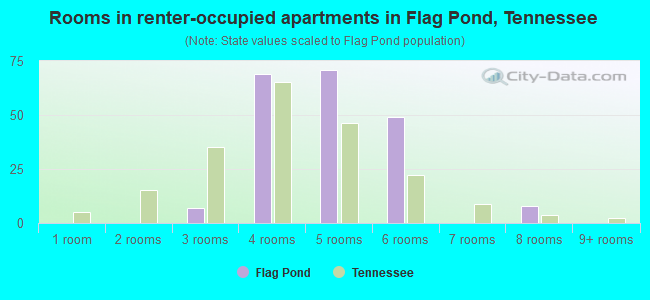 Rooms in renter-occupied apartments in Flag Pond, Tennessee