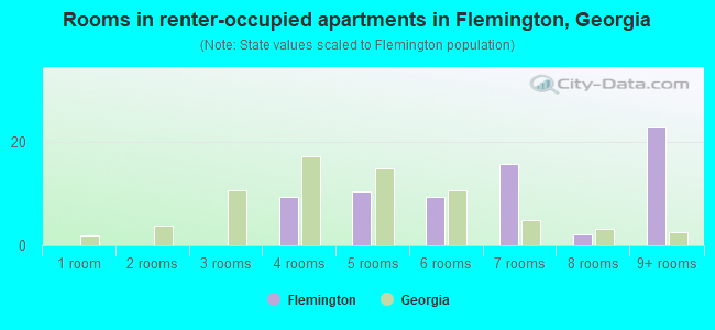 Rooms in renter-occupied apartments in Flemington, Georgia