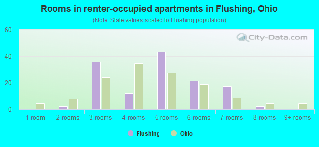Rooms in renter-occupied apartments in Flushing, Ohio