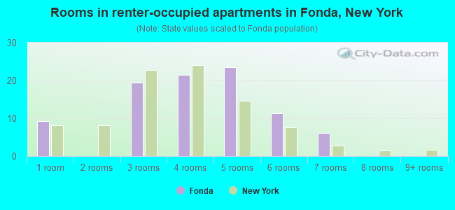 Rooms in renter-occupied apartments in Fonda, New York