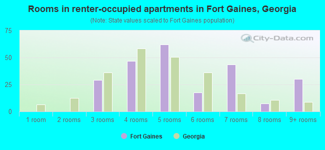 Rooms in renter-occupied apartments in Fort Gaines, Georgia