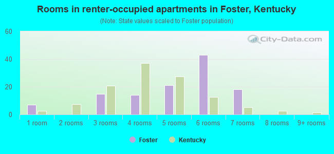 Rooms in renter-occupied apartments in Foster, Kentucky