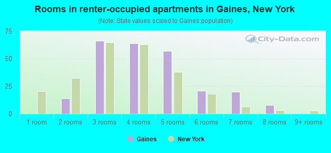 Rooms in renter-occupied apartments in Gaines, New York