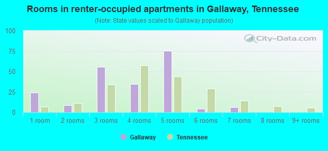Rooms in renter-occupied apartments in Gallaway, Tennessee
