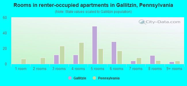 Rooms in renter-occupied apartments in Gallitzin, Pennsylvania