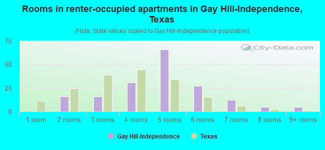 Rooms in renter-occupied apartments in Gay Hill-Independence, Texas