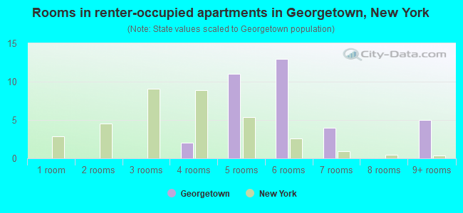 Rooms in renter-occupied apartments in Georgetown, New York