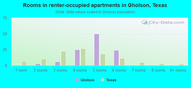 Rooms in renter-occupied apartments in Gholson, Texas