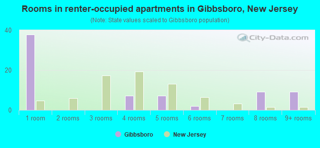 Rooms in renter-occupied apartments in Gibbsboro, New Jersey