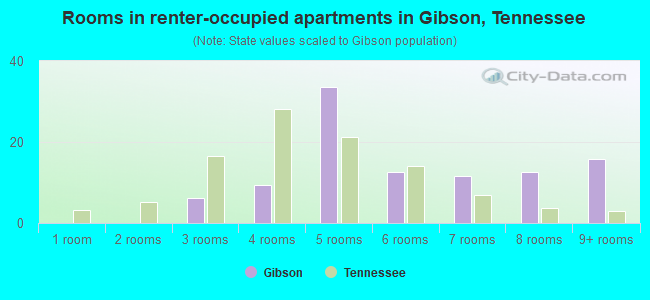 Rooms in renter-occupied apartments in Gibson, Tennessee