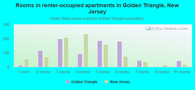 Rooms in renter-occupied apartments in Golden Triangle, New Jersey