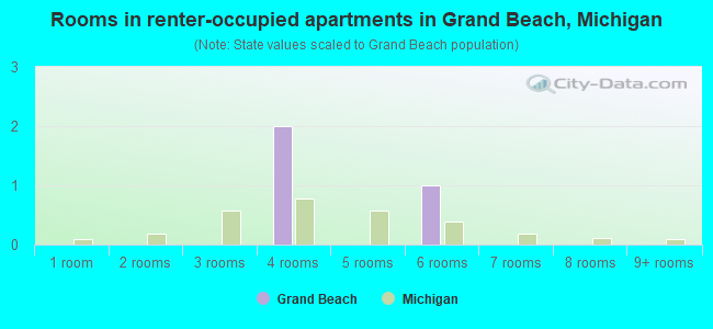 Rooms in renter-occupied apartments in Grand Beach, Michigan