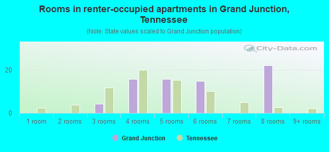 Rooms in renter-occupied apartments in Grand Junction, Tennessee