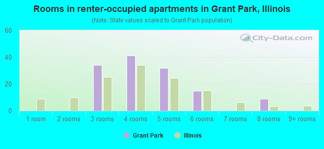 Rooms in renter-occupied apartments in Grant Park, Illinois