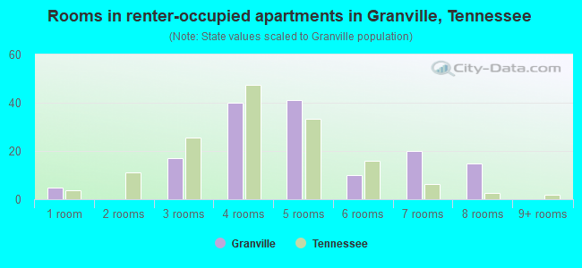 Rooms in renter-occupied apartments in Granville, Tennessee