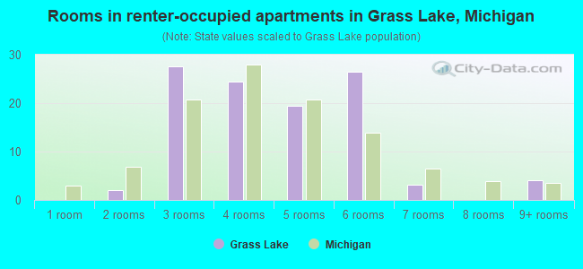 Rooms in renter-occupied apartments in Grass Lake, Michigan