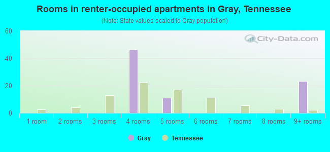 Rooms in renter-occupied apartments in Gray, Tennessee